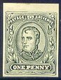 Napoleon Head essay